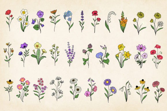 Download Hand-drawn Minimal Wildflowers Bundle - Bundle Collection
