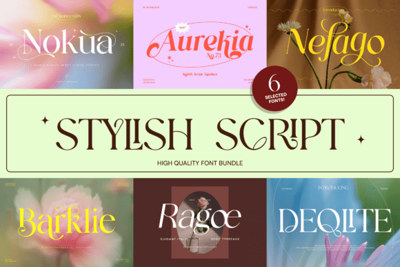Download Stylish Script Bundle - Bundle Collection